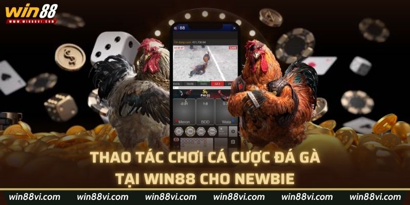 Thao tác chơi cá cược đá gà tại Win88 cho Newbie